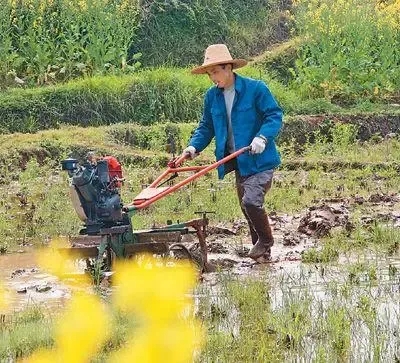 疫情防控的基本常識是什么？（疫情防控和春耕備耕兩不誤）